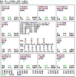 紫微格局查詢